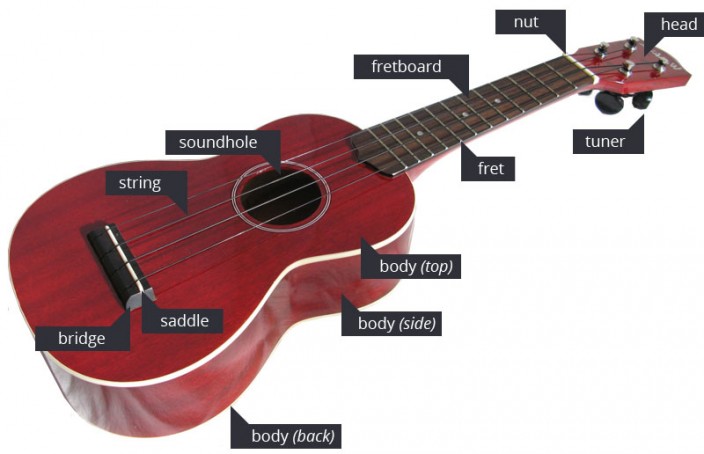 Ilustrar chorro Mexico Parts of the ukulele | Learn To Play the Ukulele